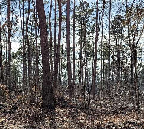 70 Acres of Recreational Land for Sale in Morrilton, Arkansas