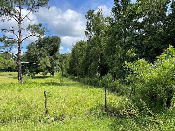 6.99 Acres of Residential Land for Sale in Lake City, Florida