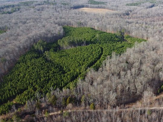 107 Acres of Recreational Land for Sale in Jackson, Tennessee