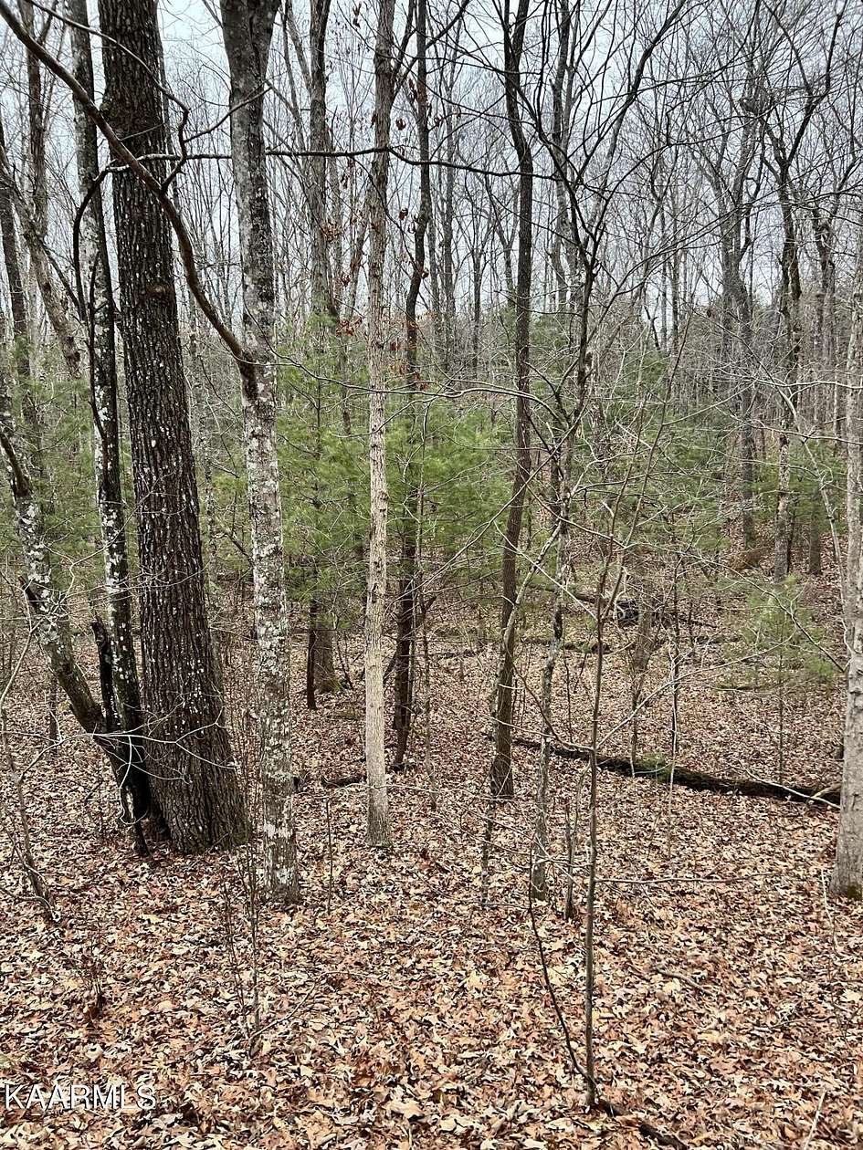 0.21 Acres of Land for Sale in Crossville, Tennessee