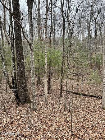 0.21 Acres of Land for Sale in Crossville, Tennessee