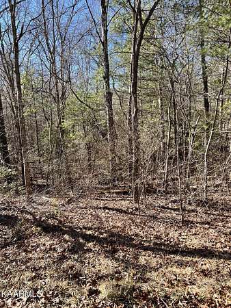0.32 Acres of Land for Sale in Crossville, Tennessee