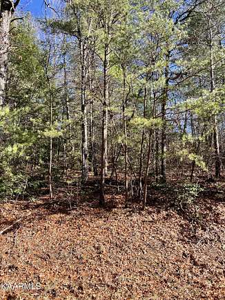 0.23 Acres of Land for Sale in Crossville, Tennessee