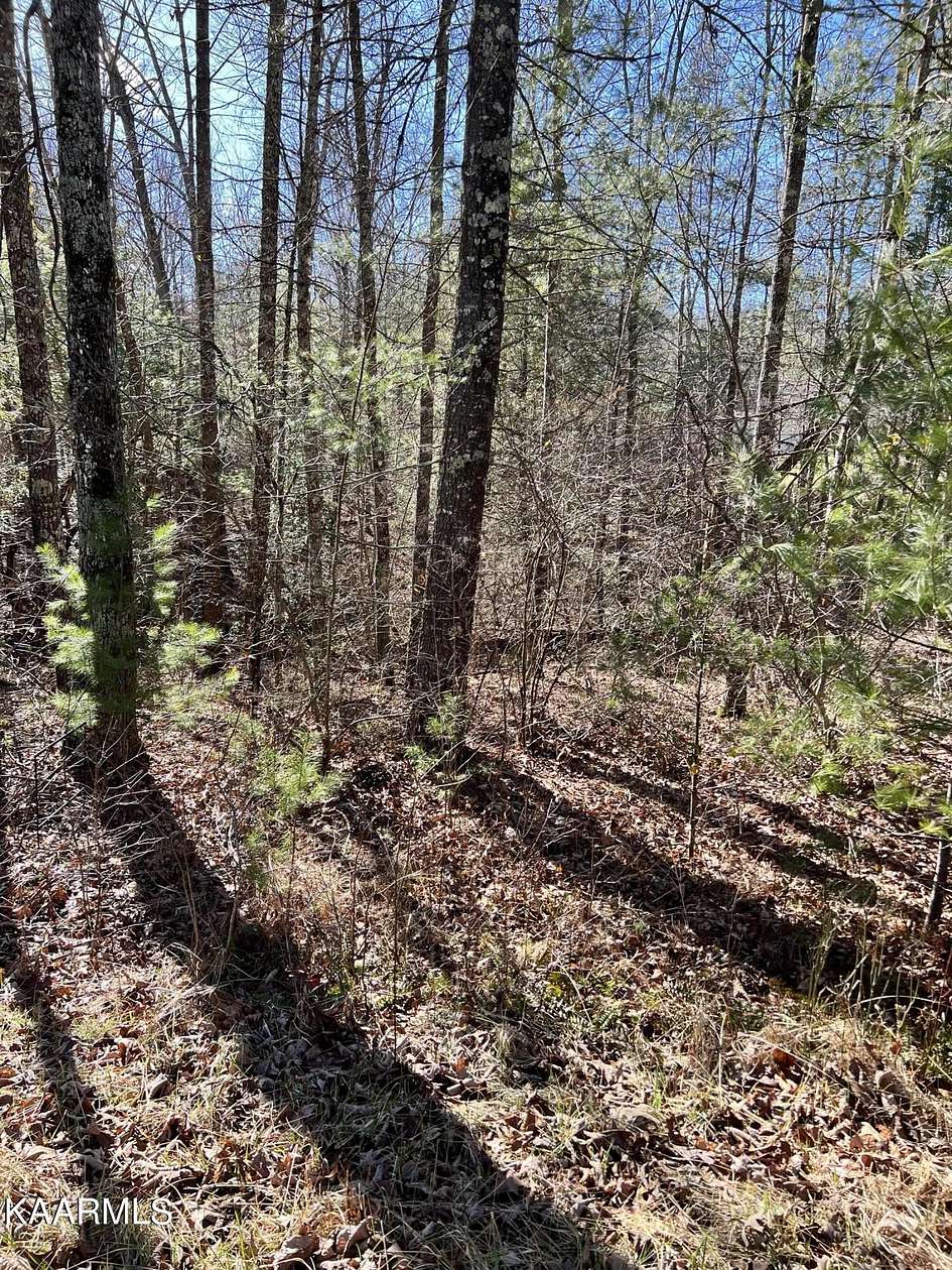 0.31 Acres of Land for Sale in Crossville, Tennessee