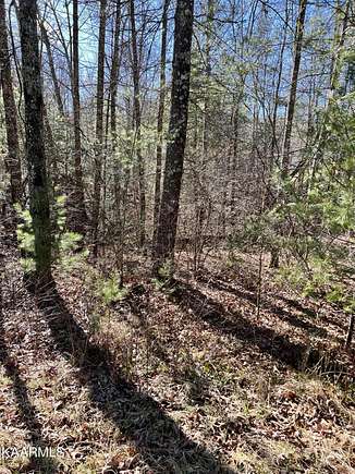 0.31 Acres of Land for Sale in Crossville, Tennessee