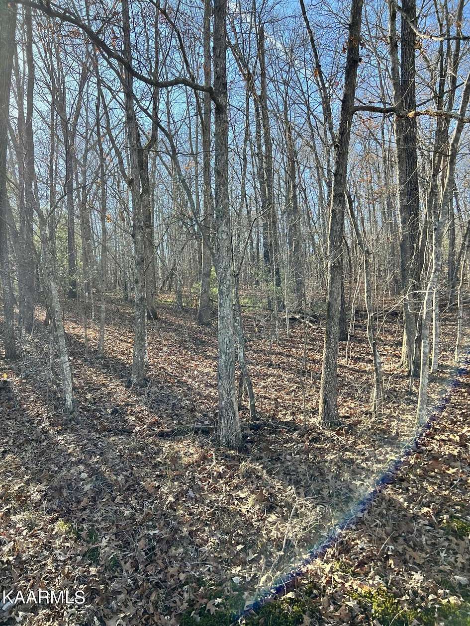 0.21 Acres of Land for Sale in Crossville, Tennessee