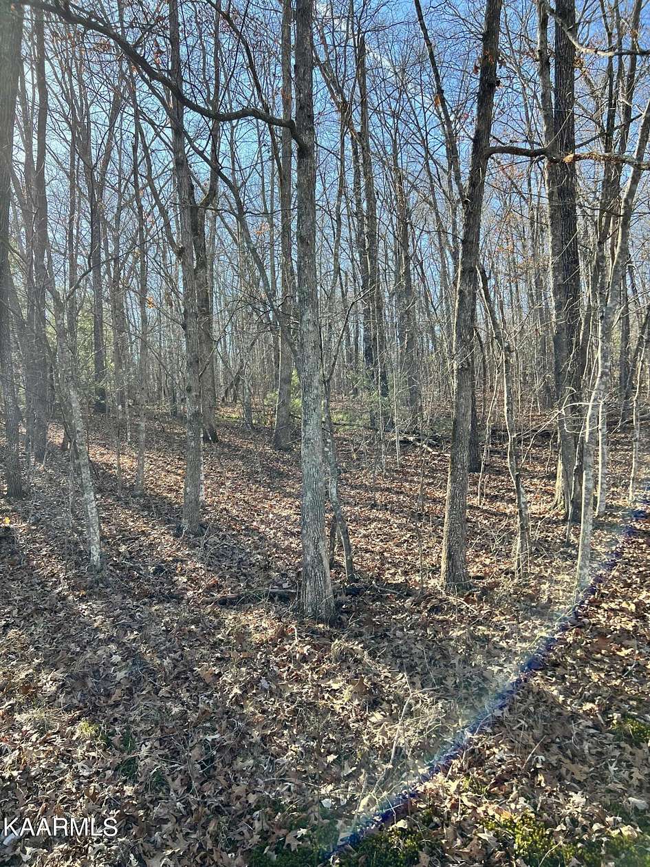0.21 Acres of Land for Sale in Crossville, Tennessee