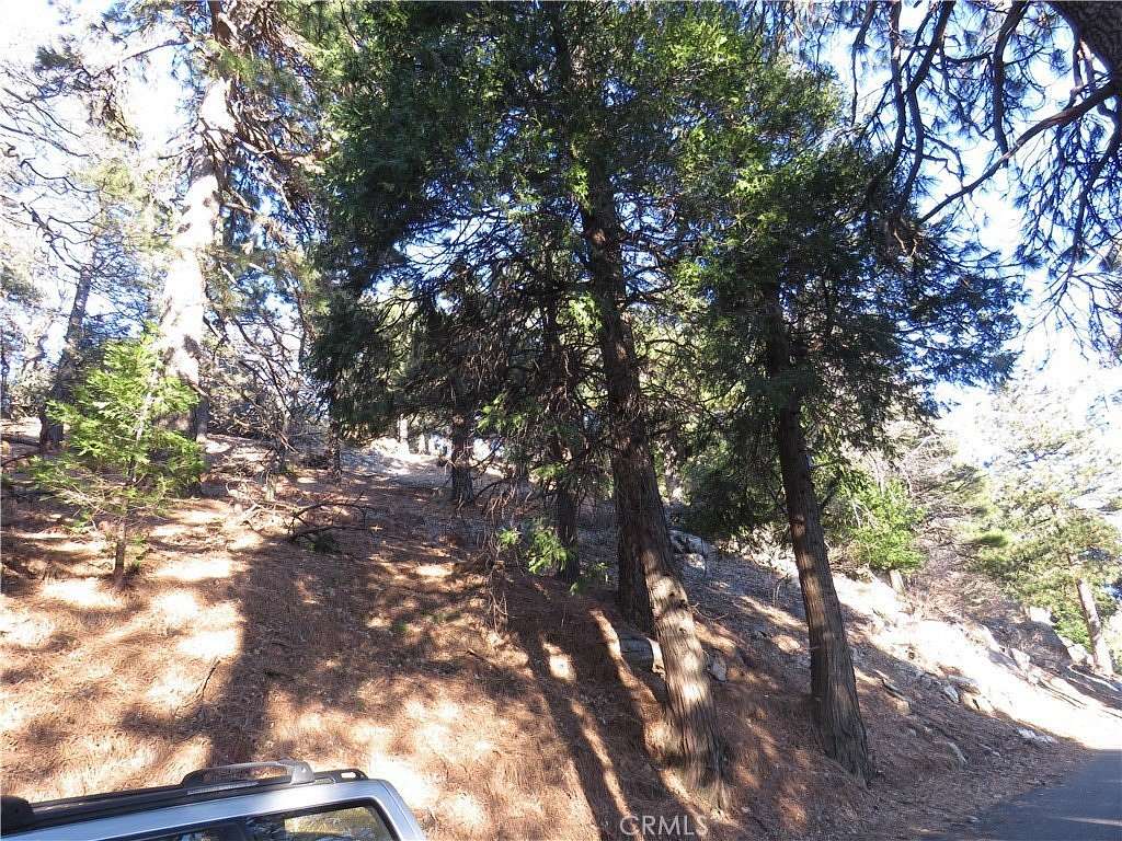 0.281 Acres of Land for Sale in Cedarpines Park, California