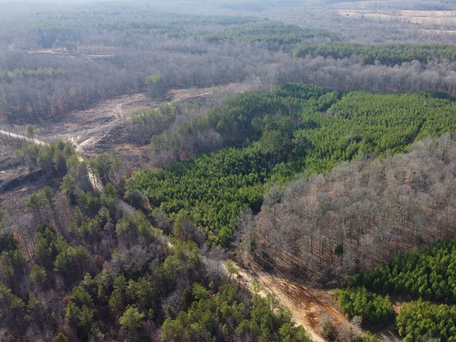 132 Acres of Recreational Land for Sale in Jackson, Tennessee