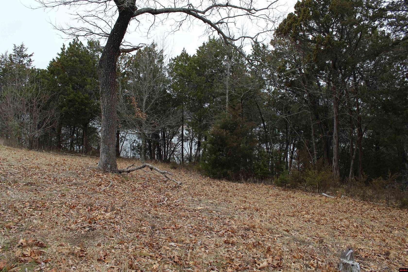 Residential Land for Sale in Henderson, Arkansas