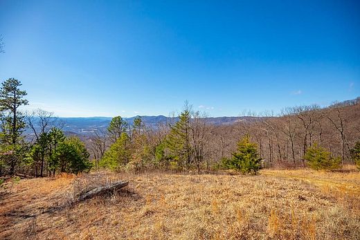 77.4 Acres of Land for Sale in Fancy Gap, Virginia