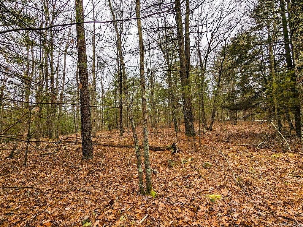 5.17 Acres of Land for Sale in Highland Town, New York