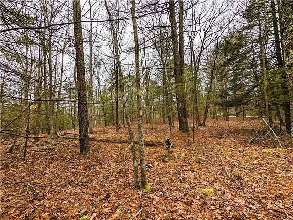 5.17 Acres of Land for Sale in Lumberland Town, New York