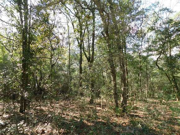 0.69 Acres of Residential Land for Sale in Reidsville, Georgia