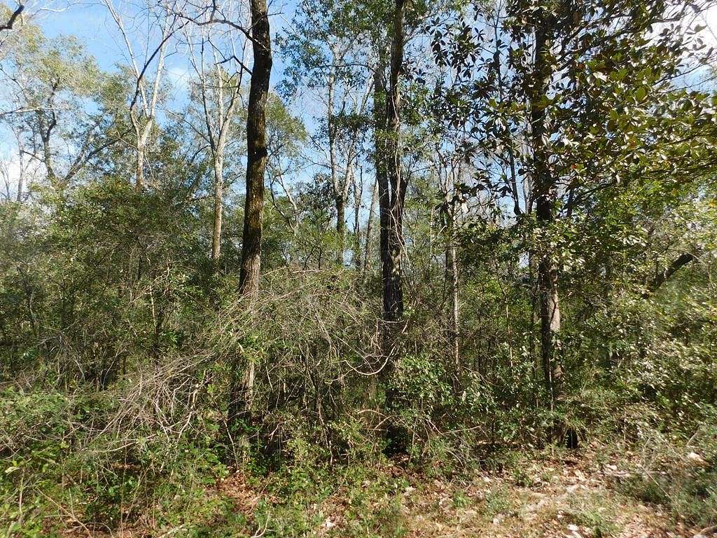 0.69 Acres of Residential Land for Sale in Reidsville, Georgia