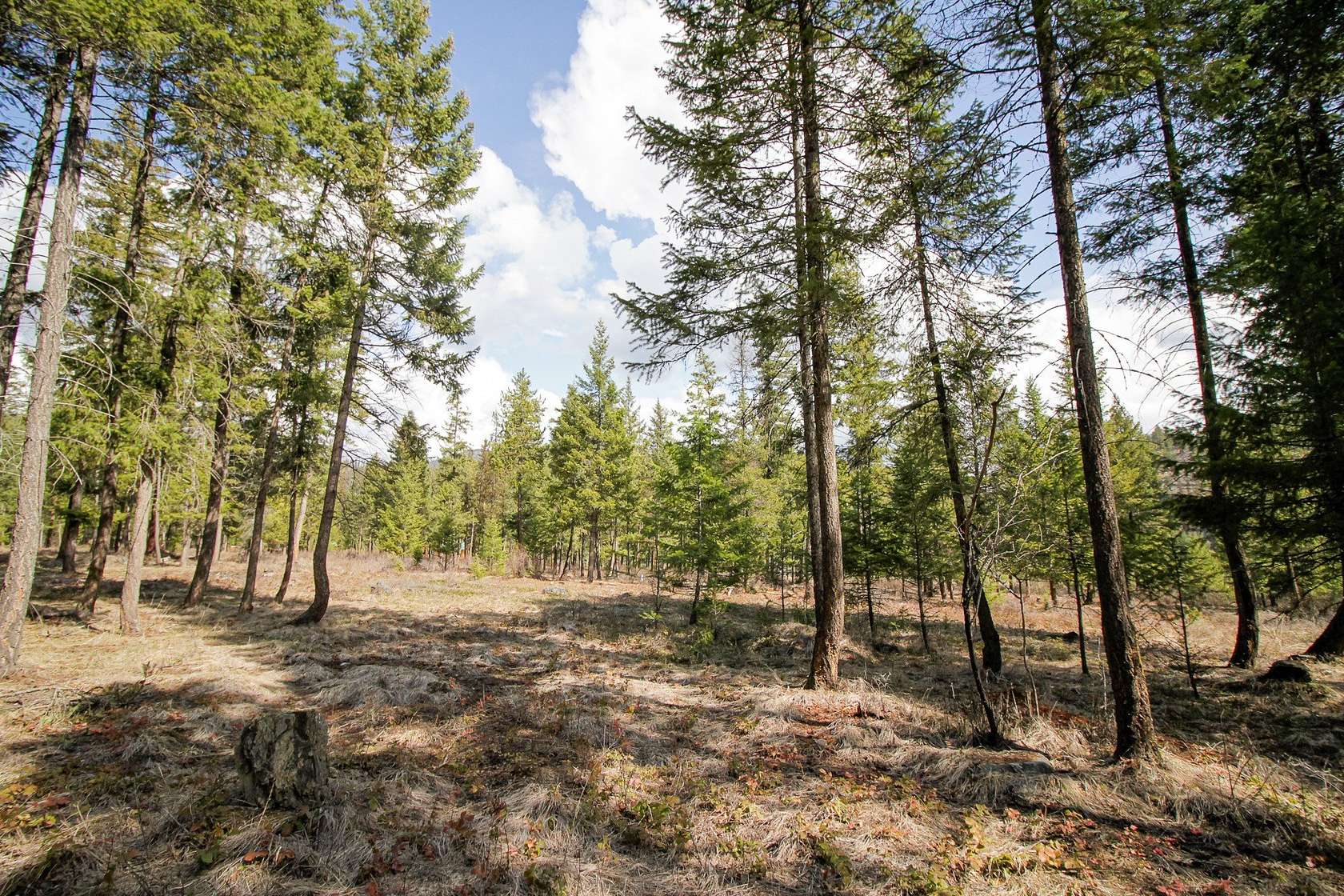 5 Acres of Land for Sale in Libby, Montana