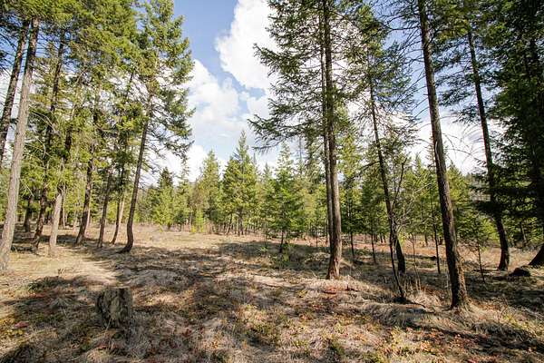 5 Acres of Land for Sale in Libby, Montana