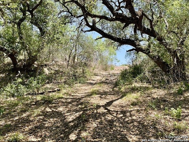 10 Acres of Recreational Land for Sale in Beeville, Texas