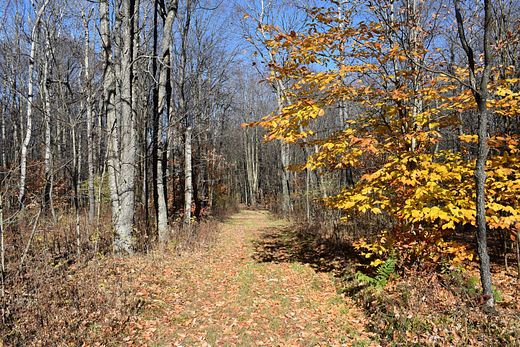171 Acres of Recreational Land for Sale in Andover, New York