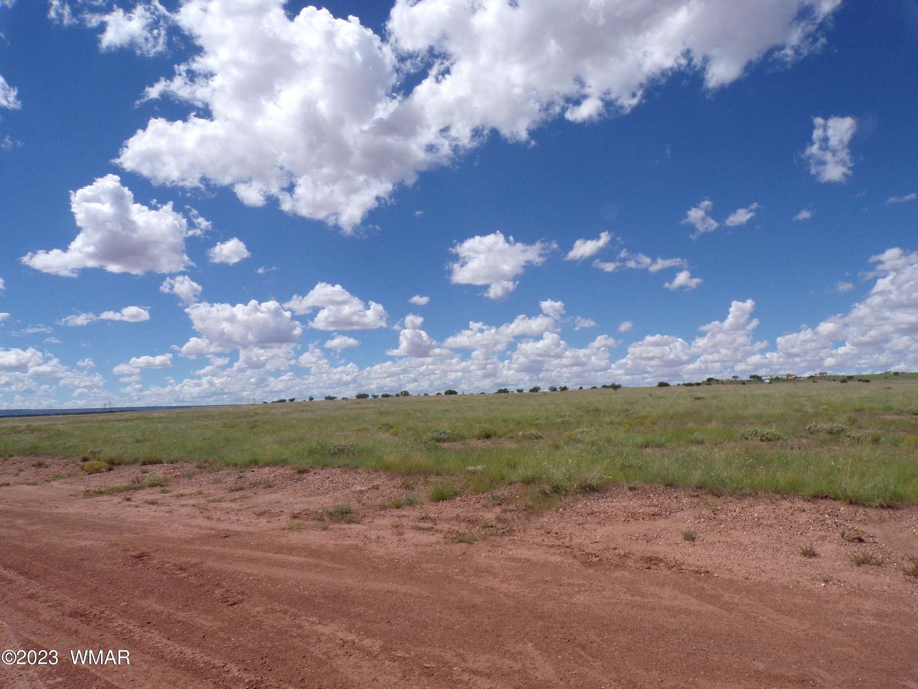 36.85 Acres of Agricultural Land for Sale in Concho, Arizona