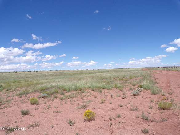 36.9 Acres of Agricultural Land for Sale in Concho, Arizona