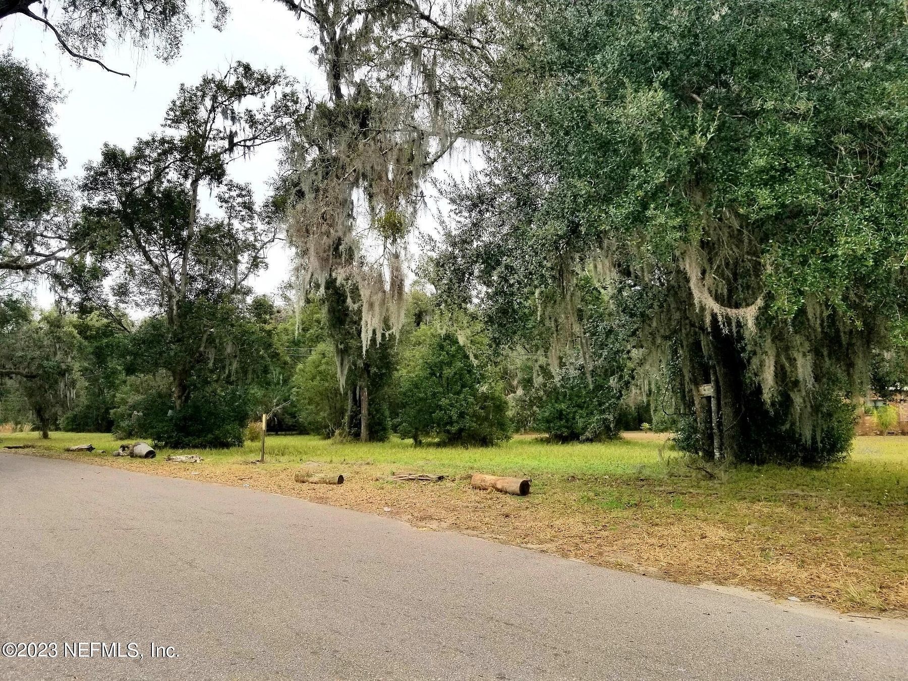 1.3 Acres of Residential Land for Sale in Crescent City, Florida