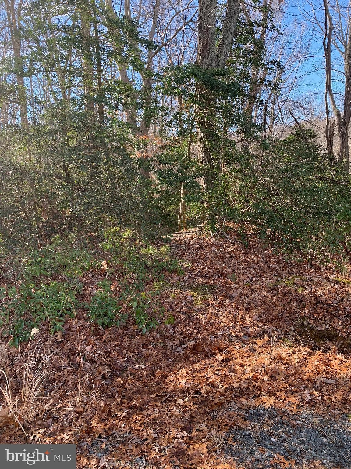 0.5 Acres of Land for Sale in Montross, Virginia