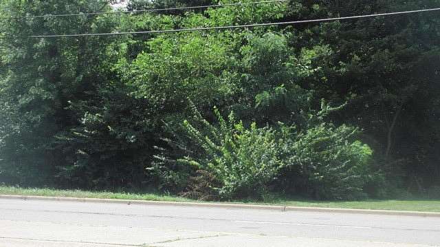 0.25 Acres of Mixed-Use Land for Sale in Lisle, Illinois