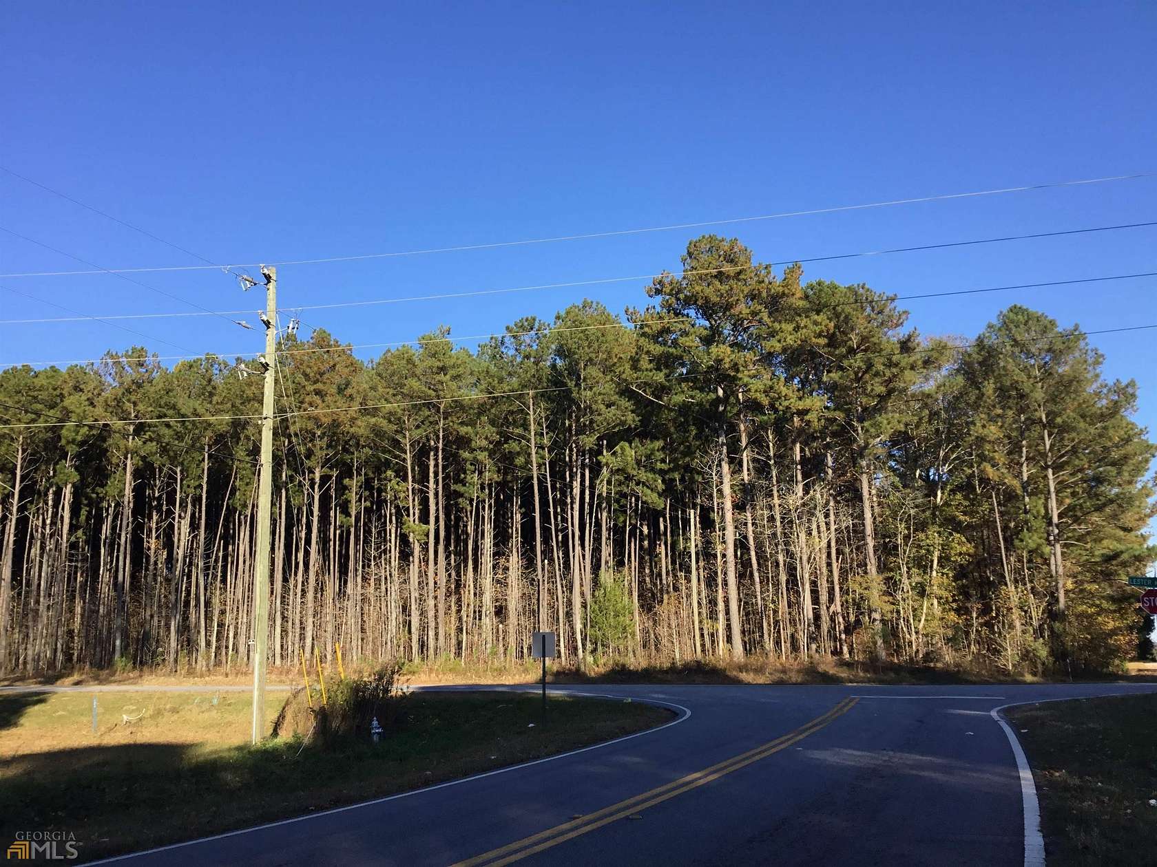 42.5 Acres of Recreational Land for Sale in Locust Grove, Georgia