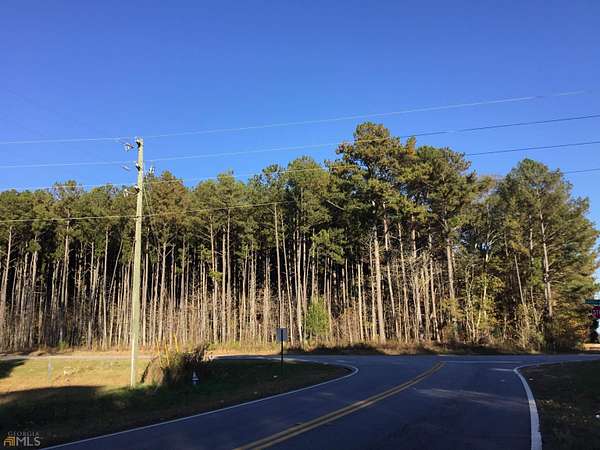 42.5 Acres of Recreational Land for Sale in Locust Grove, Georgia