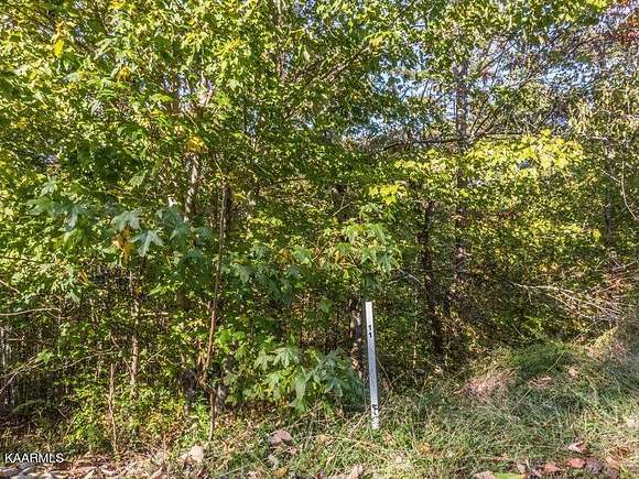 0.95 Acres of Residential Land for Sale in Rockwood, Tennessee