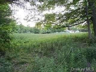 5 Acres of Residential Land for Sale in Holmes, New York