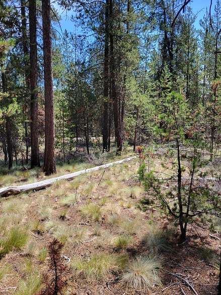 1.05 Acres of Residential Land for Sale in La Pine, Oregon