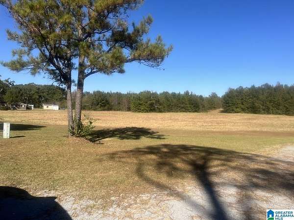 30 Acres of Land for Sale in Jemison, Alabama