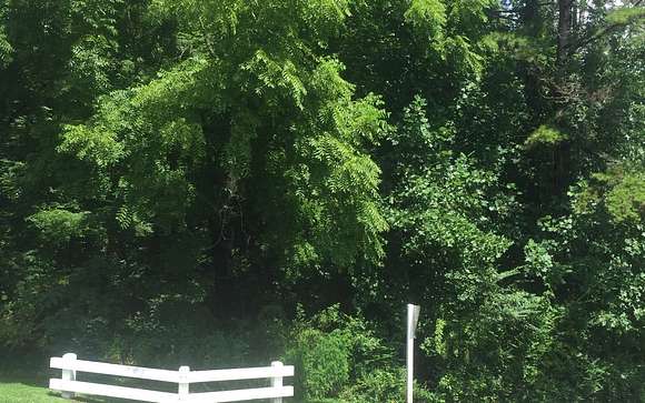 0.45 Acres of Land for Sale in Hayesville, North Carolina