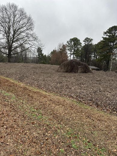 1 Acre of Residential Land for Sale in New Albany, Mississippi