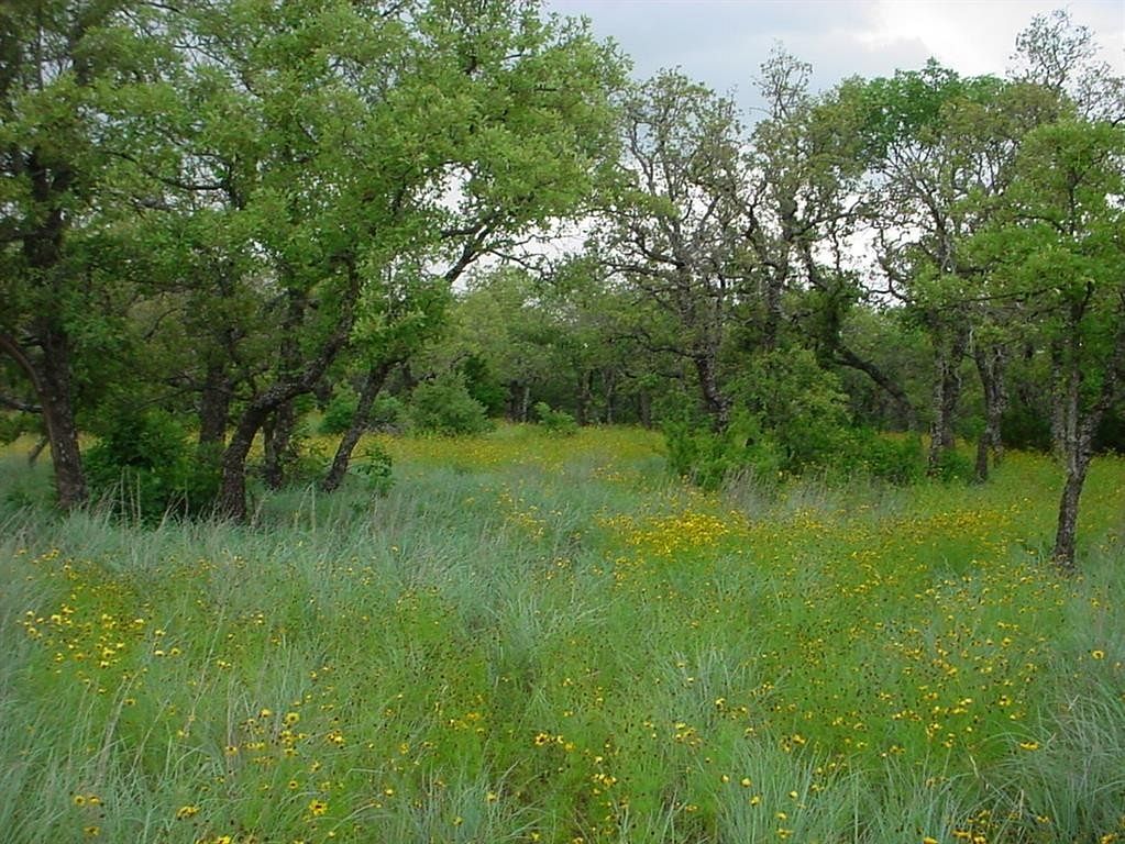 1.5 Acres of Residential Land for Sale in Gordon, Texas