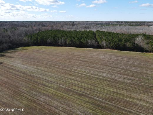 43.1 Acres of Recreational Land & Farm for Sale in Conway, North Carolina