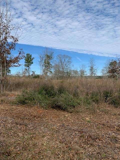 Residential Land for Sale in San Augustine, Texas
