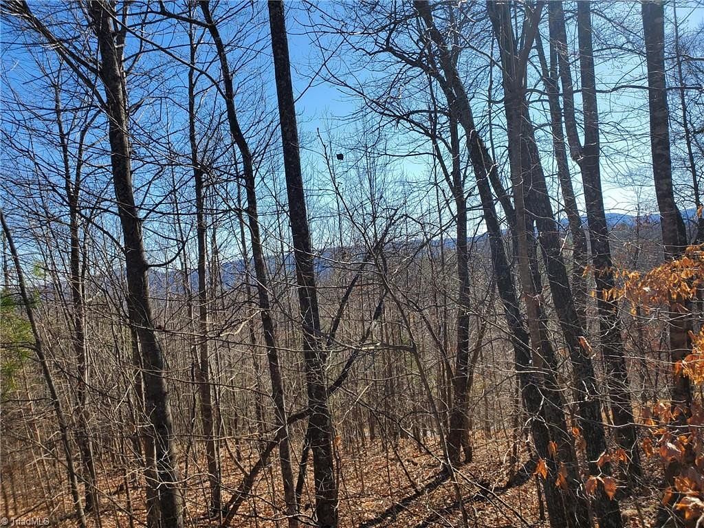 1 Acre of Residential Land for Sale in Boomer, North Carolina