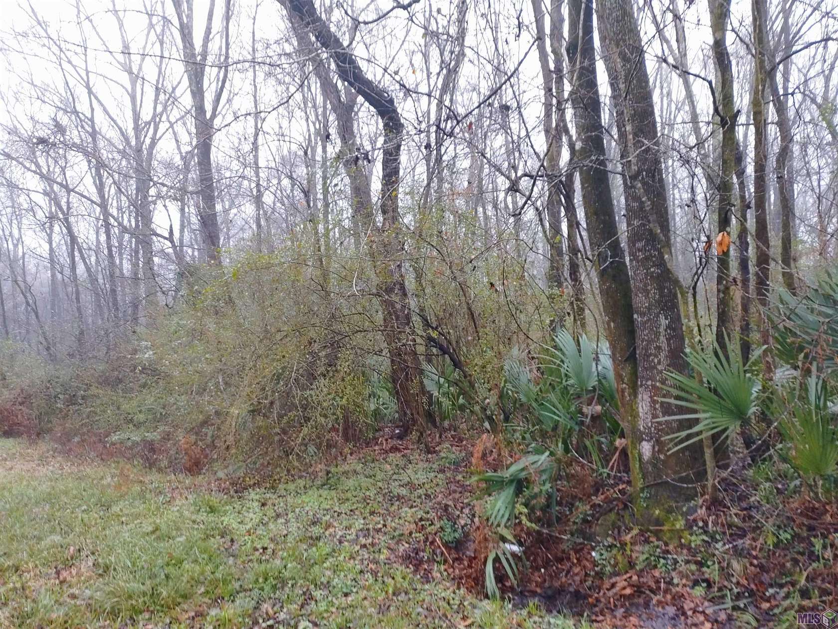 0.87 Acres of Residential Land for Sale in Baton Rouge, Louisiana