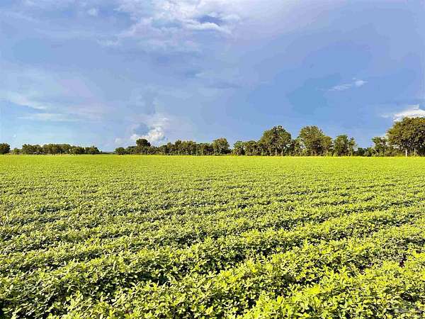 37.7 Acres of Land for Sale in Jay, Florida