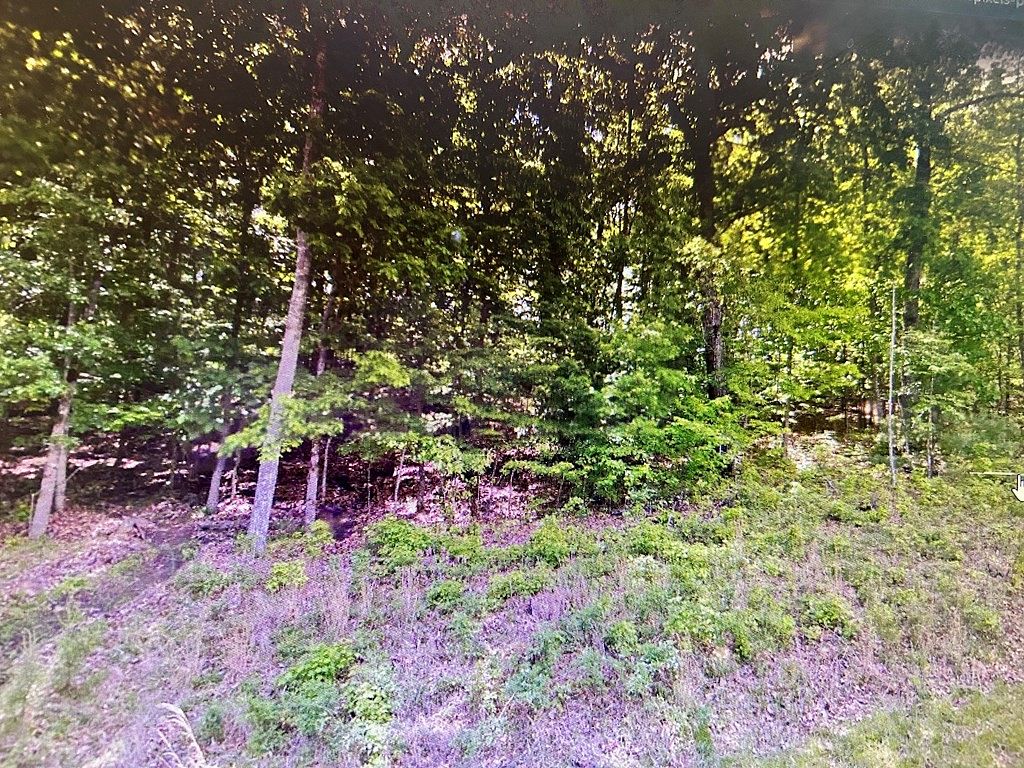 0.59 Acres of Residential Land for Sale in Fairfield Glade, Tennessee