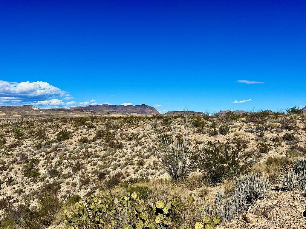 40 Acres of Recreational Land for Sale in Terlingua, Texas LandSearch
