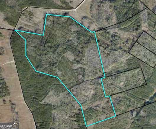 138 Acres of Recreational Land for Sale in Waverly, Georgia