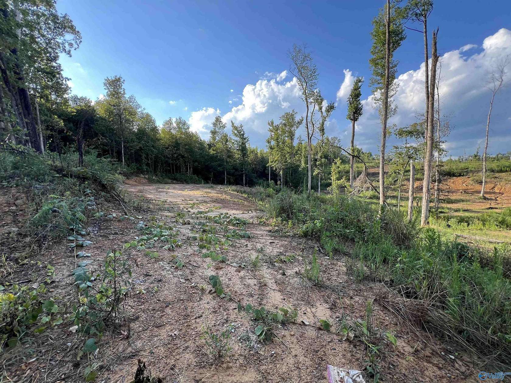 15 Acres of Land for Sale in Cullman, Alabama