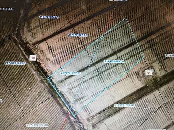 3 Acres of Mixed-Use Land for Sale in Franklin, Louisiana