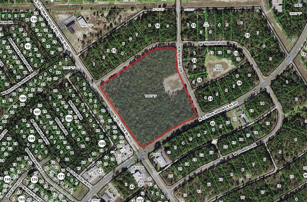 19.8 Acres of Mixed-Use Land for Sale in Citrus Springs, Florida