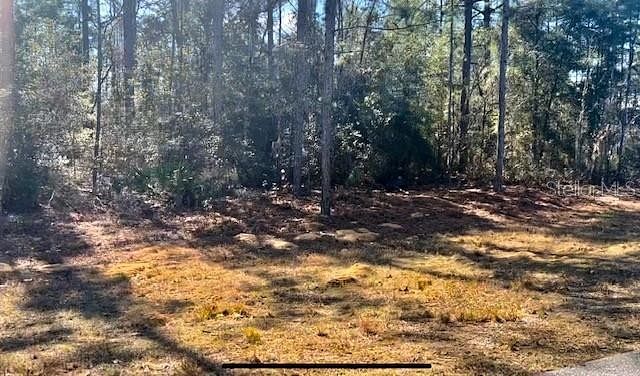 19.8 Acres of Mixed-Use Land for Sale in Citrus Springs, Florida