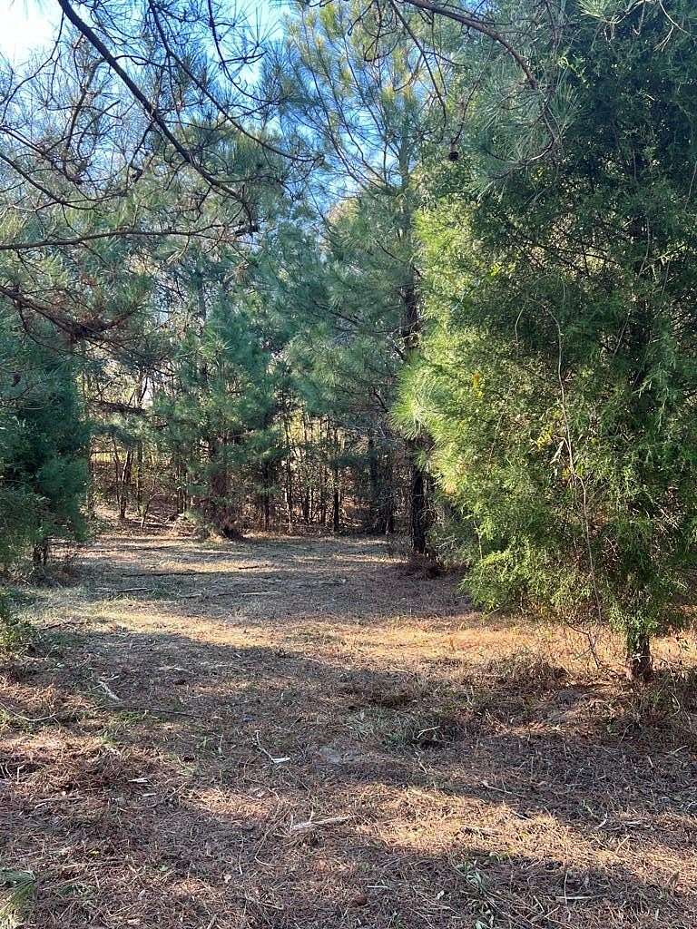 Residential Land for Sale in Georgetown, Georgia